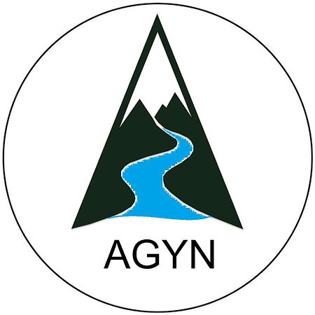 Agyn Guest House Karakol Eksteriør billede